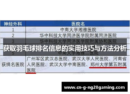 获取羽毛球排名信息的实用技巧与方法分析