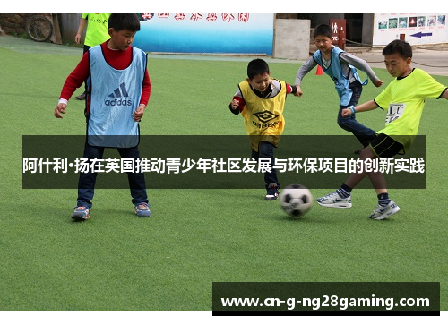 阿什利·扬在英国推动青少年社区发展与环保项目的创新实践