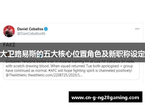 大卫路易斯的五大核心位置角色及新职称设定