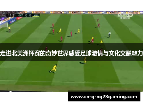 走进北美洲杯赛的奇妙世界感受足球激情与文化交融魅力