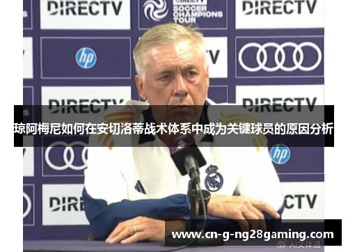 琼阿梅尼如何在安切洛蒂战术体系中成为关键球员的原因分析